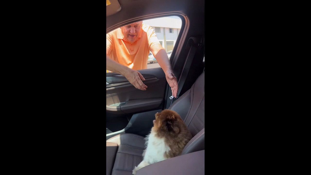Dog barks at friendly man in Goiânia, Brazil