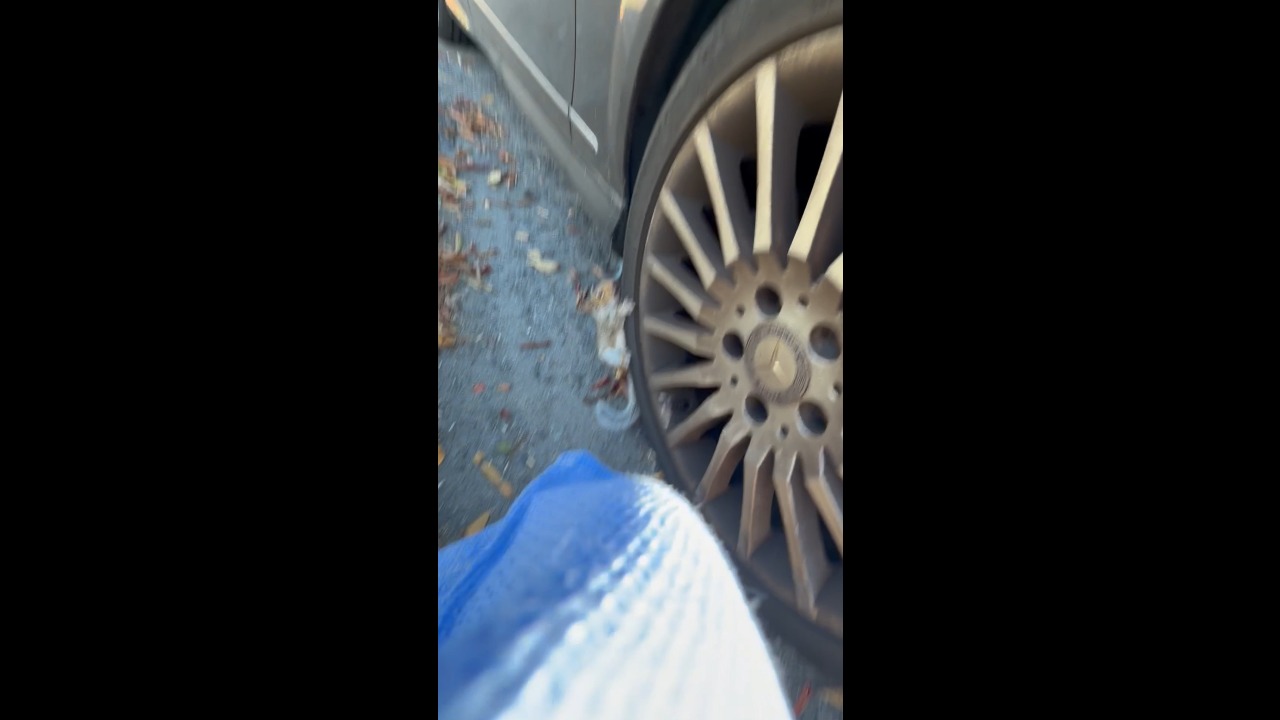 Wildlife rehabilitator rescues injured baby squirrel hiding beneath a car in Uniondale, USA