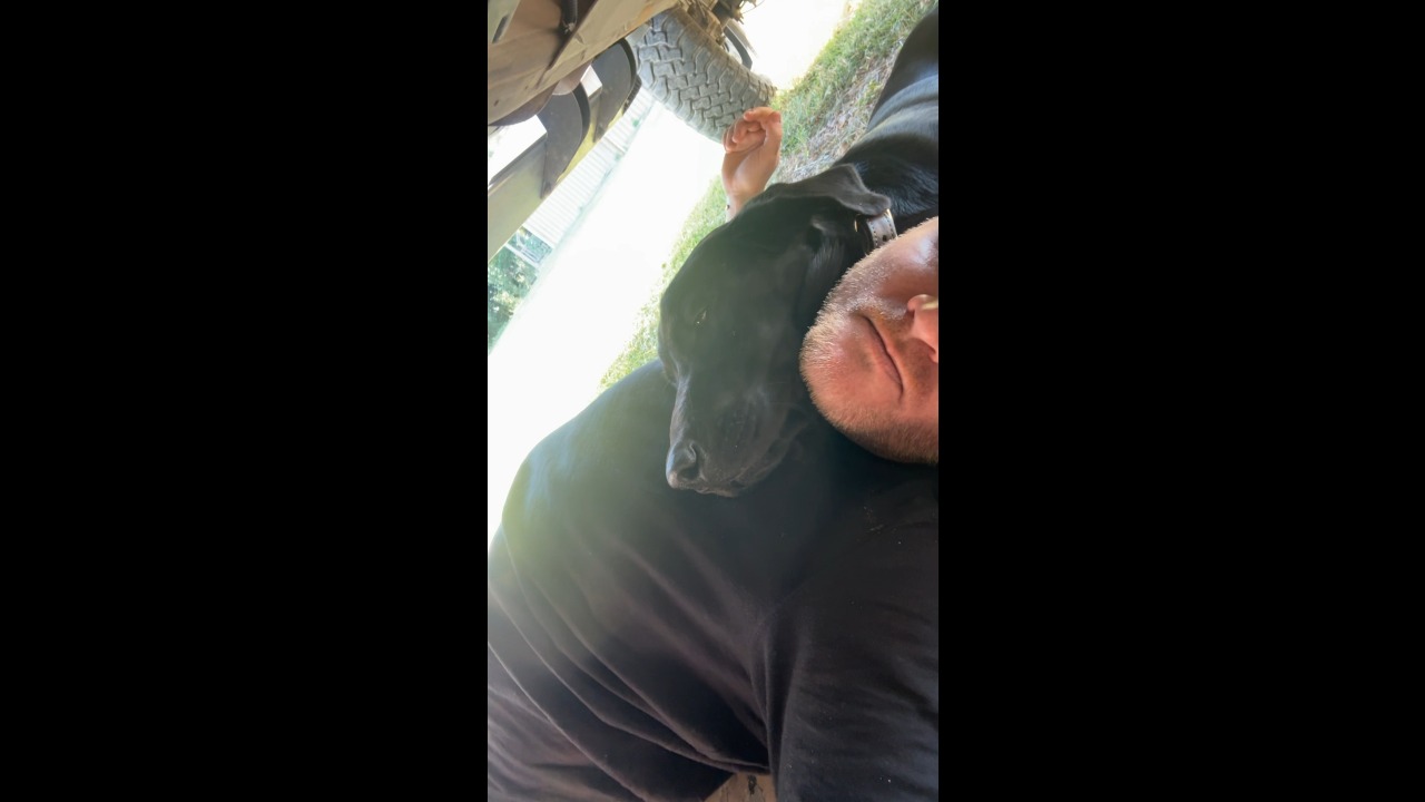 Labrador cuddles up to owner while he changes the oil at home in Texas, USA