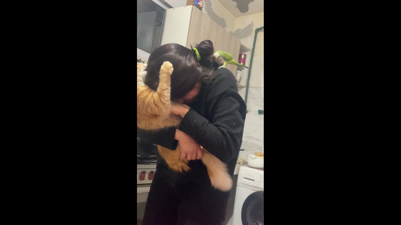 Cat clings to woman's head while bird perches on shoulder in Córdoba, Argentina