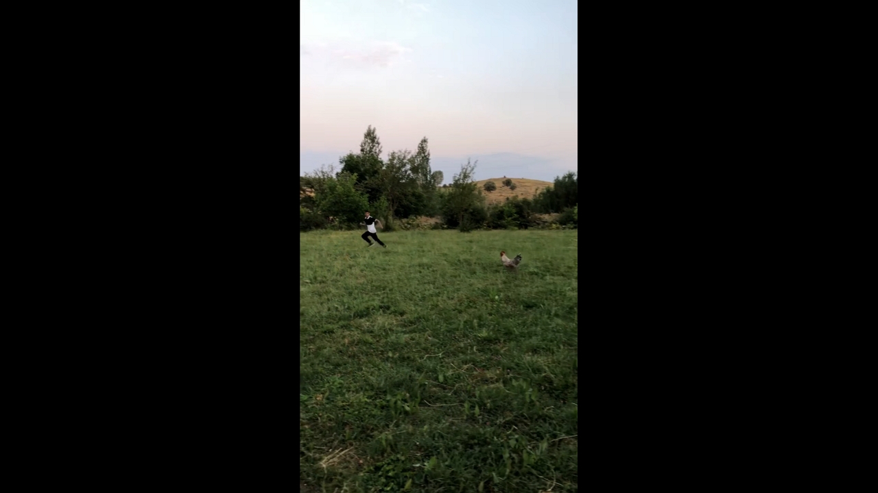 Rooster relentlessly chases boy around yard in Bingöl, Turkey