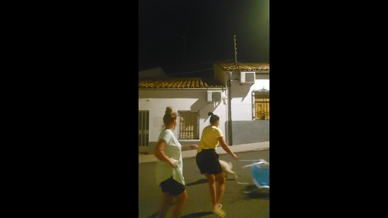 Dog runs off with chair during dance in Úbeda, Spain