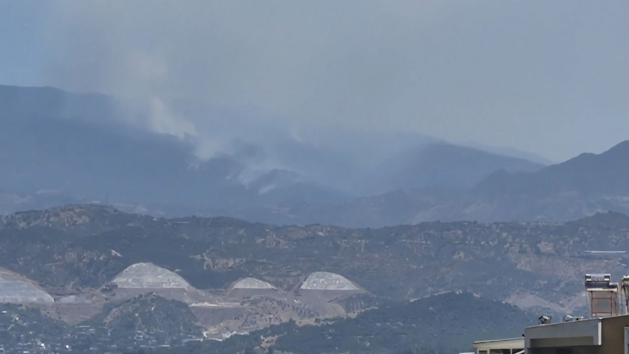 Wind-driven wildfire burns through forests in Aydın, Turkey