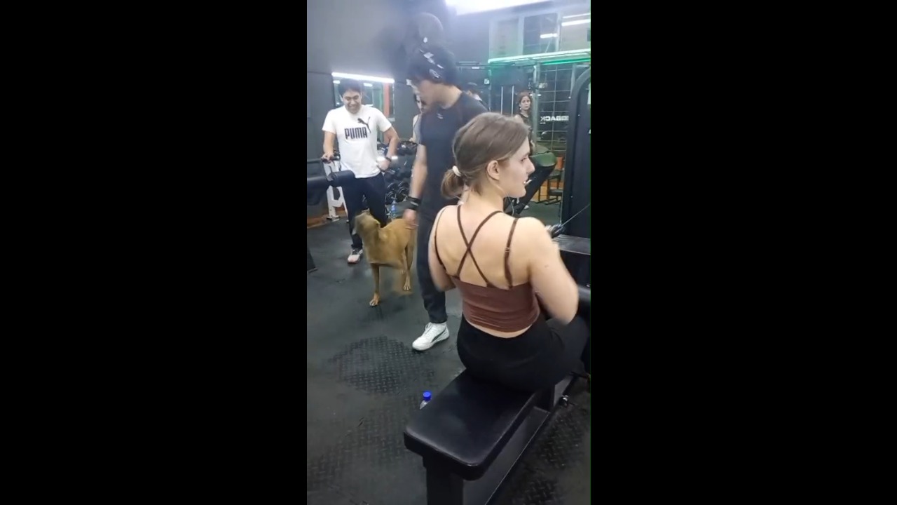 Street dog playfully bites a gym-goer’s leg in La Plata, Argentina
