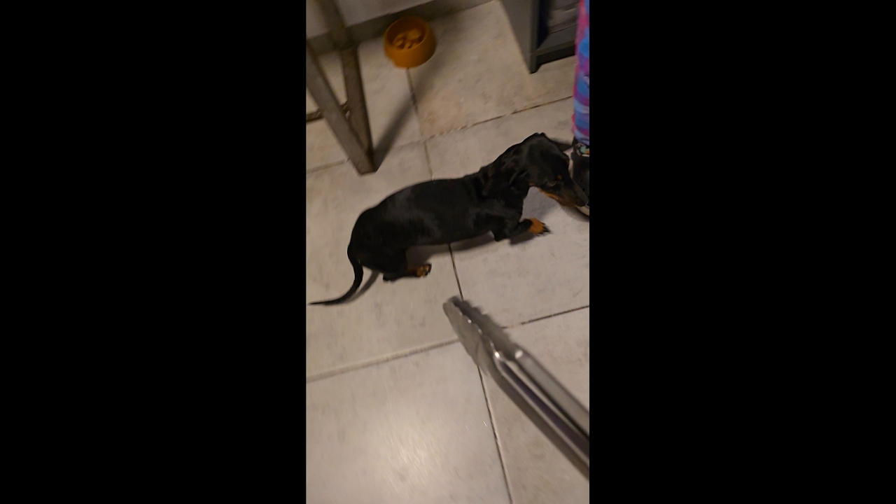 Family hot dog moment turns funny when sausages run out in Córdoba, Argentina