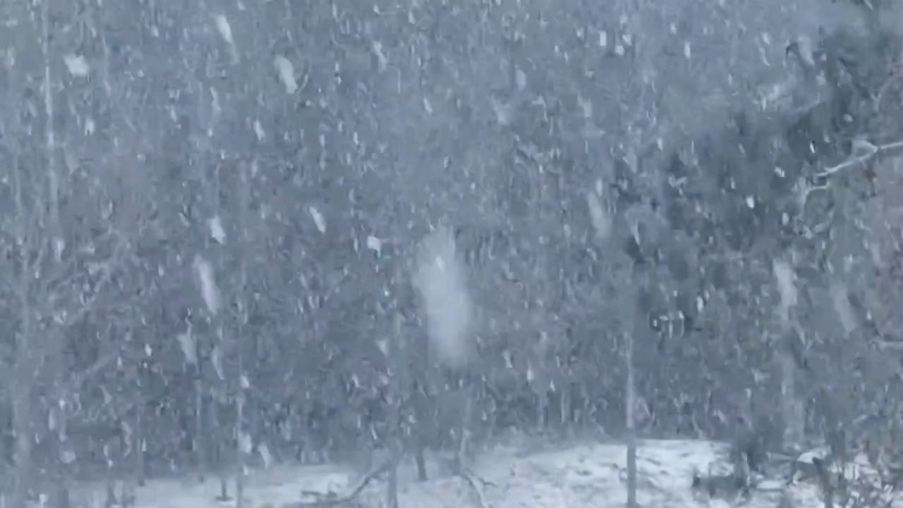 Heavy snowfall hits South West Pawlet, VT – NY border