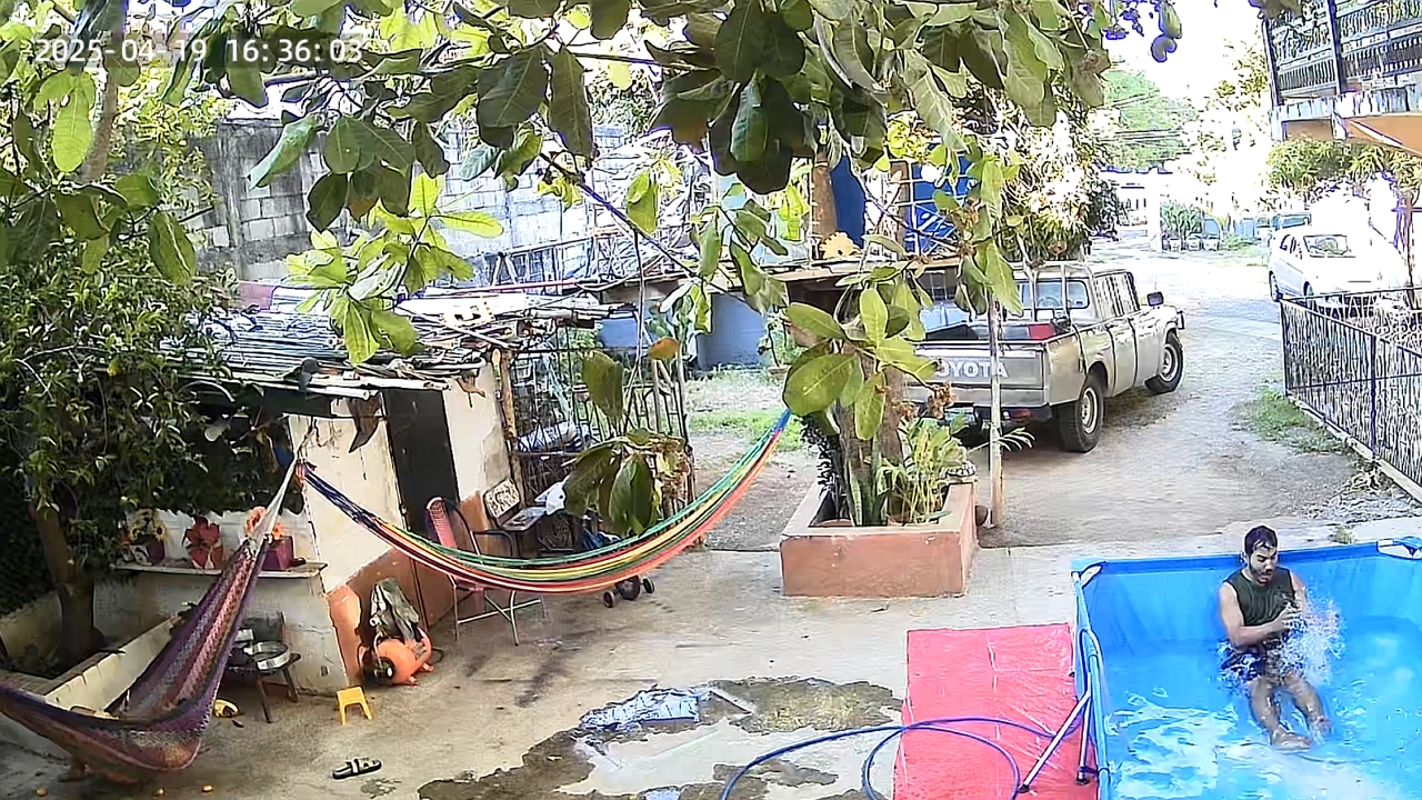 Mango falls into pool and surprises man in La Unión, El Salvador