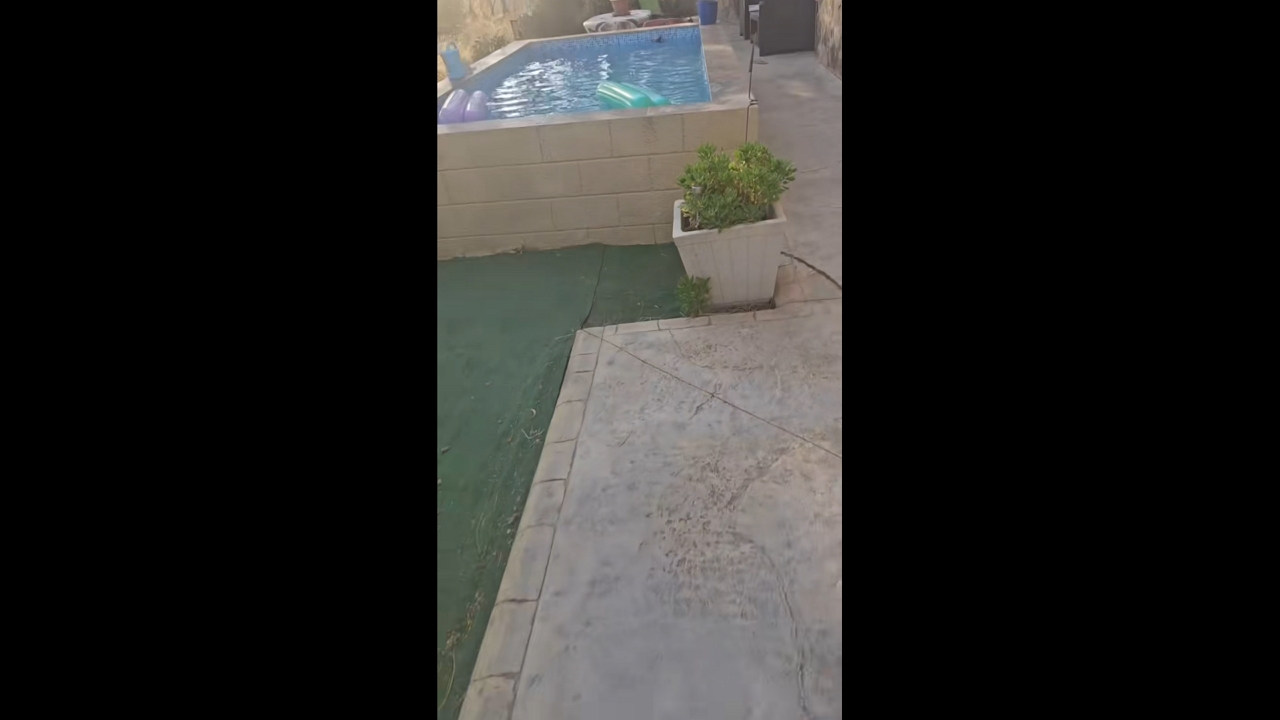 Woman rescues bird from swimming pool in Hondón de las Nieves, Spain