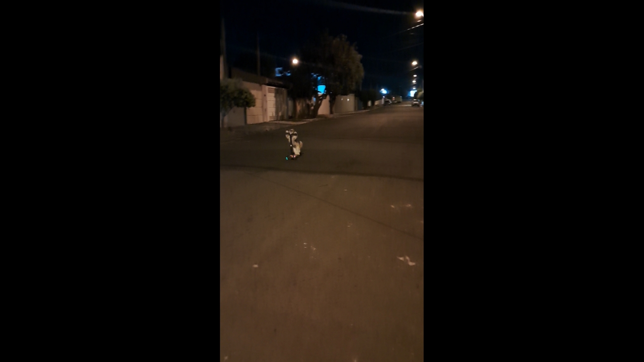 Shih Tzu shows impressive scooter skills in Leme, São Paulo, Brazil