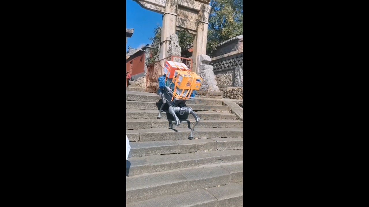 Four-legged robot dog climbs steps carrying stacked beverage boxes through Shandong, China