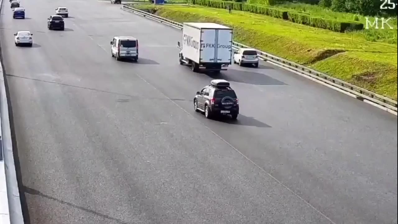 Duck family crossing causes multi-car collision on Moscow Ring Road
