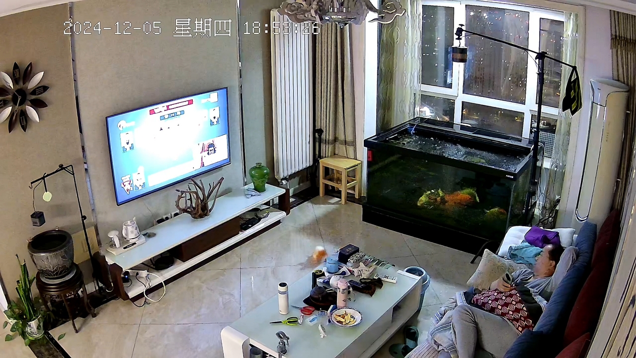 Fish jumps out of aquarium in unexpected mishap – Tianjin, China