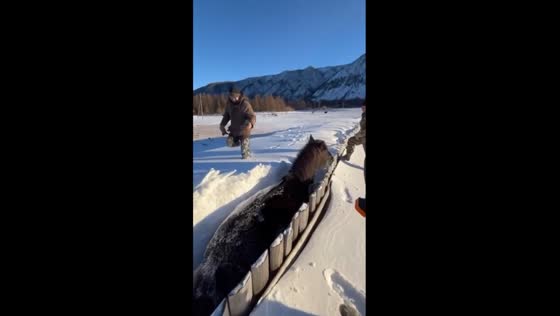 Local heroes: young climbers in Okinsky Region rescue stranded horse from deep snow drifts