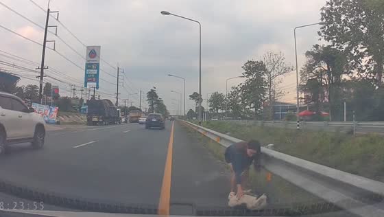 Rescued dog saved from road in Chanthaburi, Thailand
