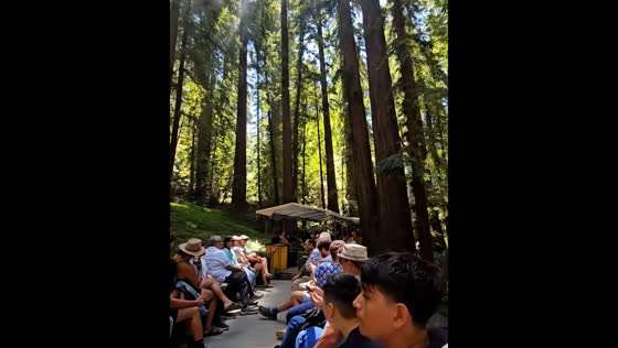Tourists enjoy scenic train ride through redwoods in Felton