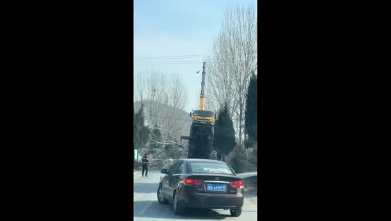 Crane overturns after losing balance during tree-lifting operation in Henan, China