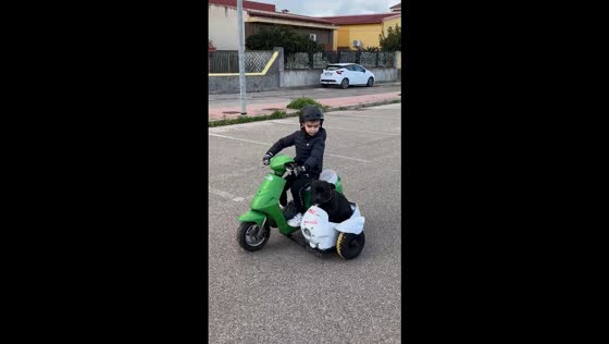 Boy rides mini scooter with Staffordshire Bull Terrier in Sardegna, Italy