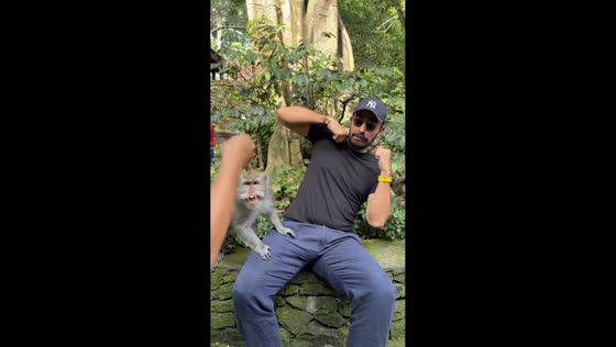 Monkey gets angry during photoshoot at Monkey Forest Sanctuary in Bali, Indonesia