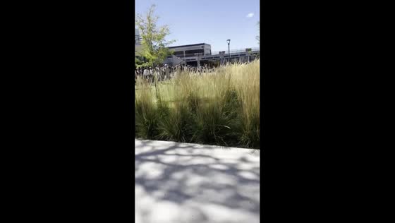 Panic after Charlie Kirk has been shot in Utah, USA
