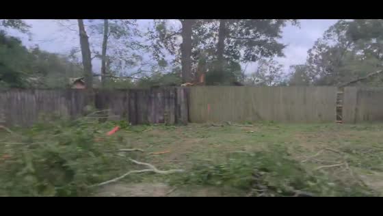 Hurricane Isaias leaves streets and yards covered in fallen trees in Pensacola, USA