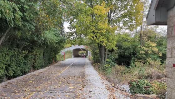 Fall scenery along the Monon Trail in Indianapolis, Indiana, USA
