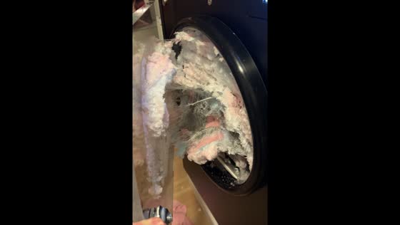 Freezer mishap in Salangen Municipality leads to candy explosion