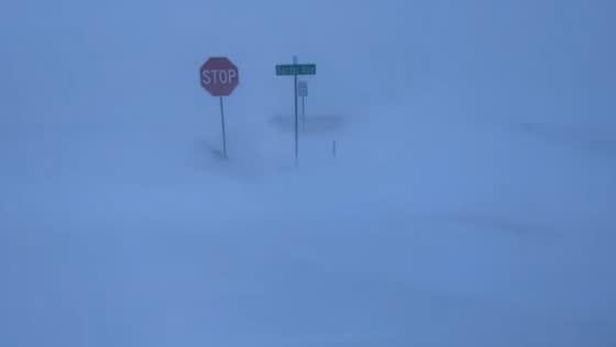 Blizzard causes whiteout conditions and travel warnings in Iowa, USA