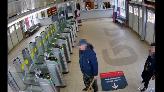 Repeat offender detained for violent attack at Podsolnechnaya station, Moscow Region