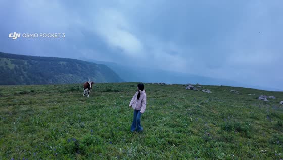 Woman narrowly avoids charging cow on mountain grassland in Shanxi, China