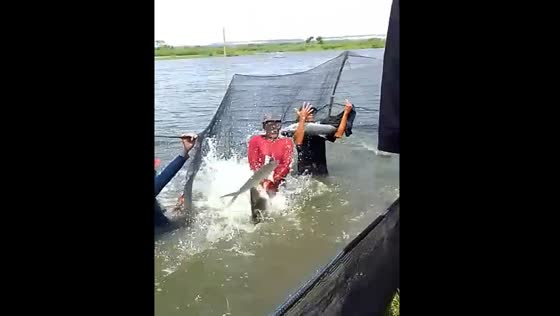 People compete in hand-fishing contest in Gresik, East Java