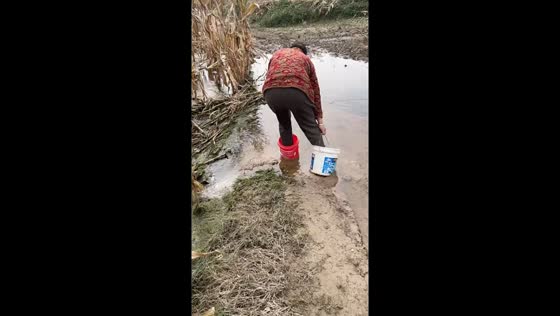 Woman struggles to cross muddy swamp using buckets in Henan, China