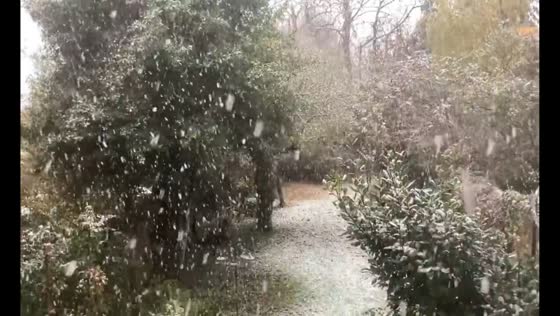 Continuous snowfall blankets Guildford, England