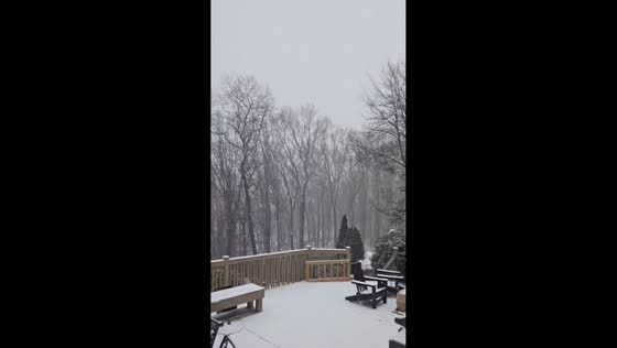 Heavy snowfall blankets backyard in Randolph, New Jersey, USA