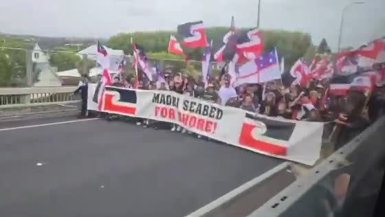 Thousands cross Auckland Harbour Bridge in protest on day three of Hīkoi
