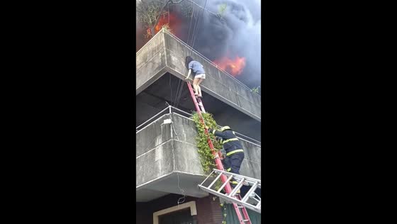 Woman rescues dogs from building fire in Mandaue, Cebu, Philippines