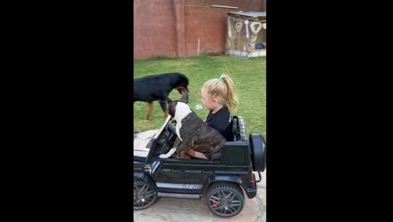Child drives toy car with dog in Lusaka, Zambia