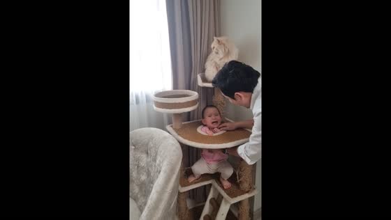 Child rescued after head gets stuck in cat's play area in Thailand