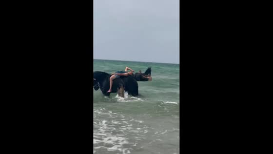 Horse jolts after dog approaches, tossing rider into sea in Oran, Algeria