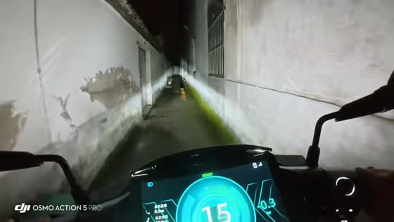 Dog playfully evades chase through narrow streets in Jiangsu, China