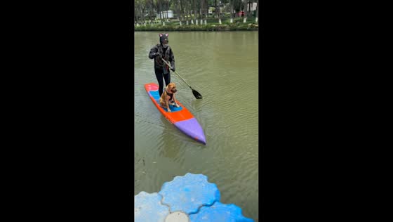 Dog's jump sends man into river from paddle board in Zhejiang, China