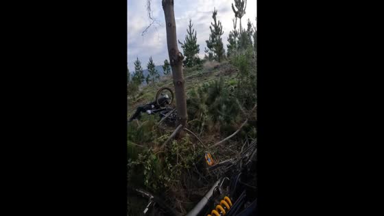 Bicycle incident in Loncoche, Chile