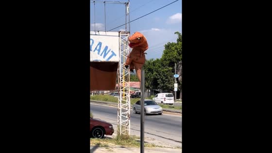 Person in dinosaur costume climbs pole in Cuernavaca, Mexico