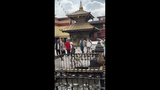 Monkeys dive into ritual pool to cool off at Swayambhunath Temple in Kathmandu, Nepal