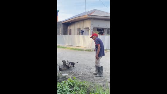 Cat appears to guide elderly man while walking in Panabo, Philippines