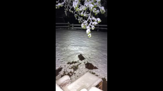 Heavy snowfall blankets Woodland Park during rare late-season storm in Colorado, USA