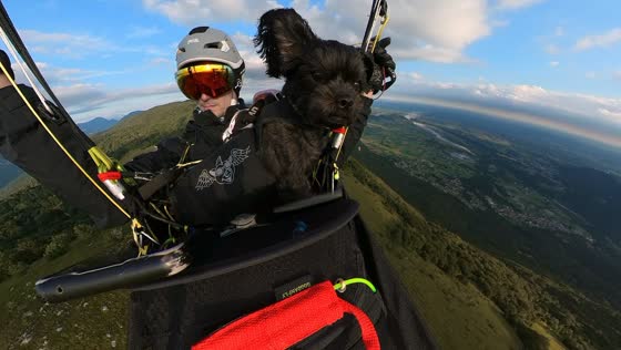 Paragliding Pongo: a dog's skyward adventure in Meduno, Italy