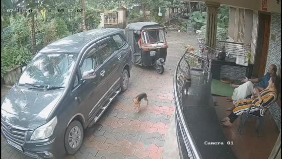 Rickshaw driver delivers newspaper with perfect throw in Kerala, India