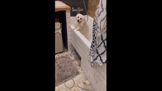 Spitz Nikka's hilarious bathtub dash after messy moment
