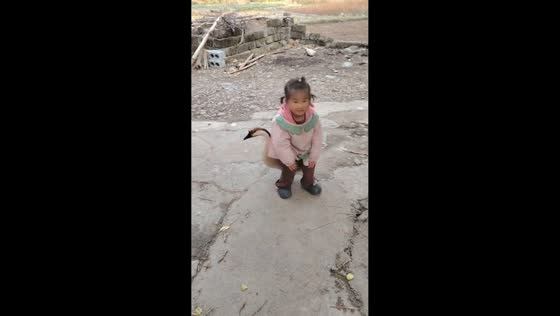 Little girl calmly sits on a goose in Guangdong, China