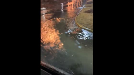 Thunderstorms cause flooding in downtown Auburn, Alabama.